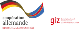 Logo GIZ